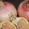 D.W.N. 'Eversweet' Pomegranate Potted Plant - Image 2