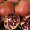 D.W.N. 'Wonderful' Pomegranate Potted Plant - Image 2